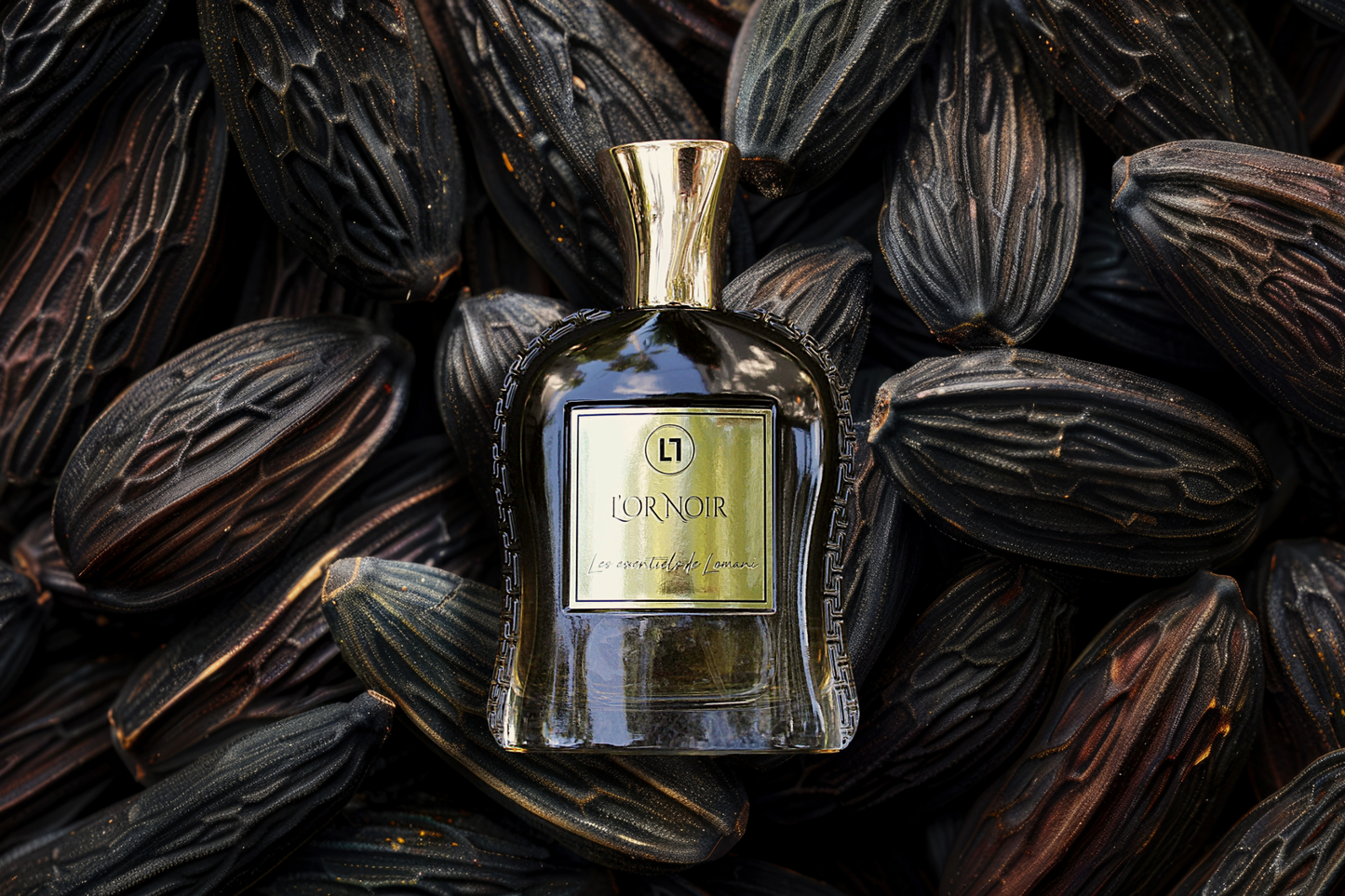 L'or Noir | Les Essentiels - Lomani Shopify